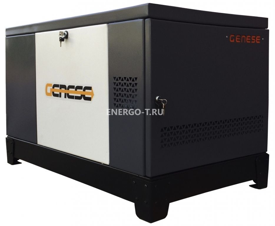 Газовый генератор  Pro 22000 T Neva в кожухе