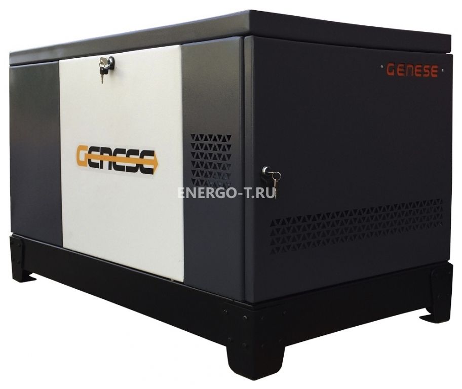 Газовый генератор  Standard 17000 Neva в кожухе с АВР