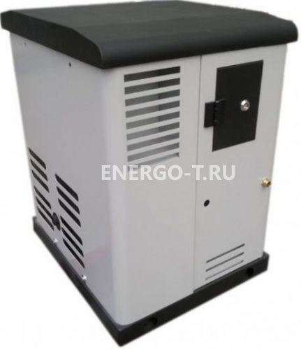 Газовый генератор REG ARCTIC GG6-230SV (6,0 кВт)
